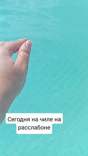 В ТАКУЮ ЖАРУ ТОЛЬКО В БАССЕЙН #summerfun #pool #cooling #shorts #garden #дача #огород