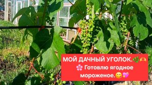 Мой ДАЧНЫЙ УГОЛОК.🌸💖 Готовлю ягодное мороженое.😋🍒🍓