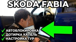 АКТИВАЦИЯ скрытых функций Skoda Fabia (VCDS)