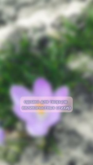 забытая книга