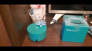Мои новогодние подарки. Яндекс станция лайт. Зеленая.