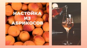 Настойка из абрикосов