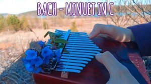 Minuet in C - J.S. Bach - кавер на калимбе - Darina K.