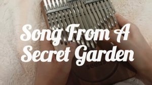 Song From A Secret Garden - Rolf Lovland - кавер на калимбе - Darina K.