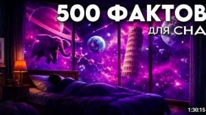 ЛЕКЦИЯ ДЛЯ СНА🌙 500 фактов обо всём на свете в одном видео!