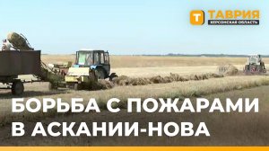 В заповеднике «Аскания-Нова» ежедневно ликвидируют пожары после атак дронов ВСУ