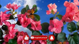 👼Елена, с Днём Ангела! 🎶Душевная песня - поздравление.