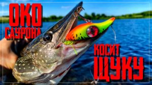 🔴 Эта САМОДЕЛКА КОСИТ ЩУКУ! Рыбалка на секретном пруду на ГЛАЗ!!!🔥💪🔥