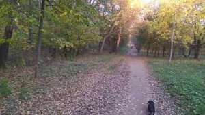 #Минск На Связи🇧🇾. #Беларусь.VLOG.