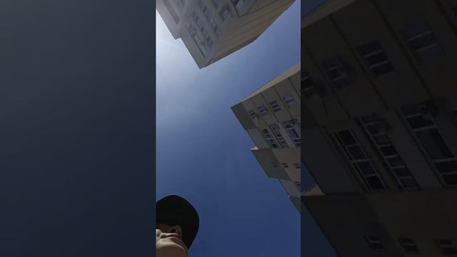 стрим смотреть онлайн