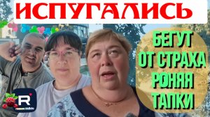 Испугались /Бегут от страха роняя тапки /Ольга Уралочка /Обзор