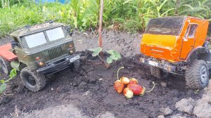Легендарная битва шишига против камаzа на бездорожье  . RC модели на радиоуправлении