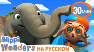 Слоны на Водопое _ Обучающие песни для детей _ Blippi Russian