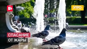 Спасание от жары. Утро с Губернией. 02/07/2026. GuberniaTV