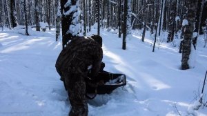 Живу на базовой. Нашёл глухарей