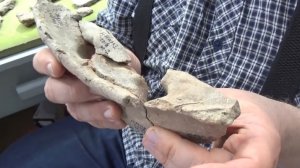 Котел с внутренними ушками раннего средневековья с берега моря