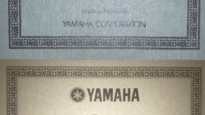Обзор Yamaha С40 с разными этикетками