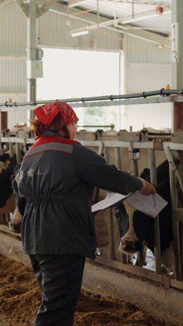 🐄 Eco$ — ваш путь к прибыльному стаду голштинов смотреть онлайн
