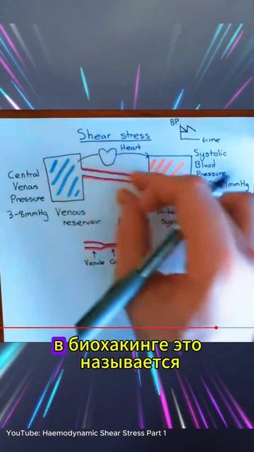Тренируем плечи и сосуды, не вставая с кресла. Наш метод  #здоровыйобразжизни  #здоровыйдух  #спорт
