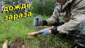 Копаю Металл на старой Деревне_Попадается печьное железо_Дождь нам не помеха