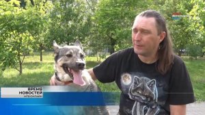 О своих собаках рассказали сотрудники Муниципального телевидения Волгограда