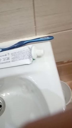 Животные