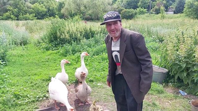 Навестили с Любой деда Матвея смотреть онлайн
