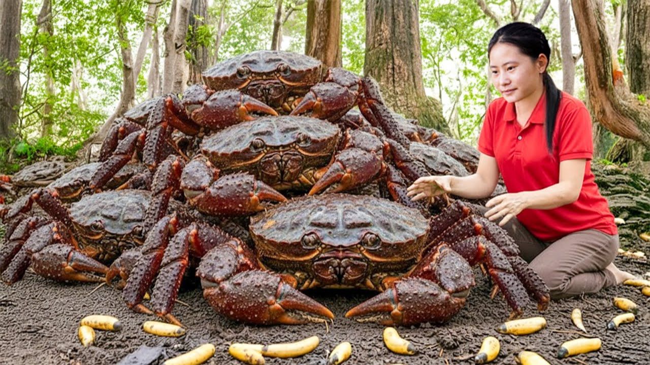 Harvesting Giant Stone Crabs and Selling Them at Market – Living in a New Treehouse in the Forest смотреть онлайн