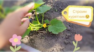 Дача: Стройка курятника🐔 Огород🍓