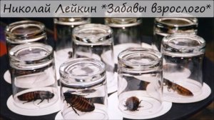 НИКОЛАЙ ЛЕЙКИН - «ЗАБАВЫ ВЗРОСЛОГО»