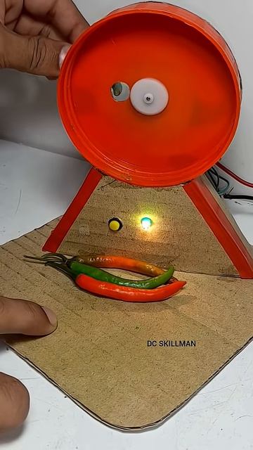 Chili cutting machine #youtubeshorts #chilimachine