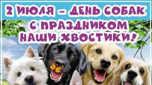 Открытка. 2 июля международный день собак 🐶🐶🐶 смотреть онлайн