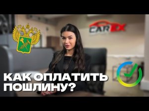 Как оплатить таможенную пошлину за автомобиль? 3 простых способа💯💰