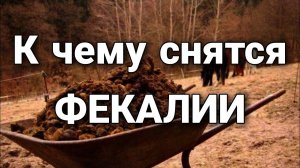 К чему снятся фекалии (экскременты), что значит измазаться дерьмом во сне? | Толкование снов