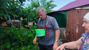 НИЧЕГО НЕ ДЕЛАЛИ, А УСТАЛИ. ВСЕ БЕГОМ. У РОДИТЕЛЕЙ ПО ЯГОДУ