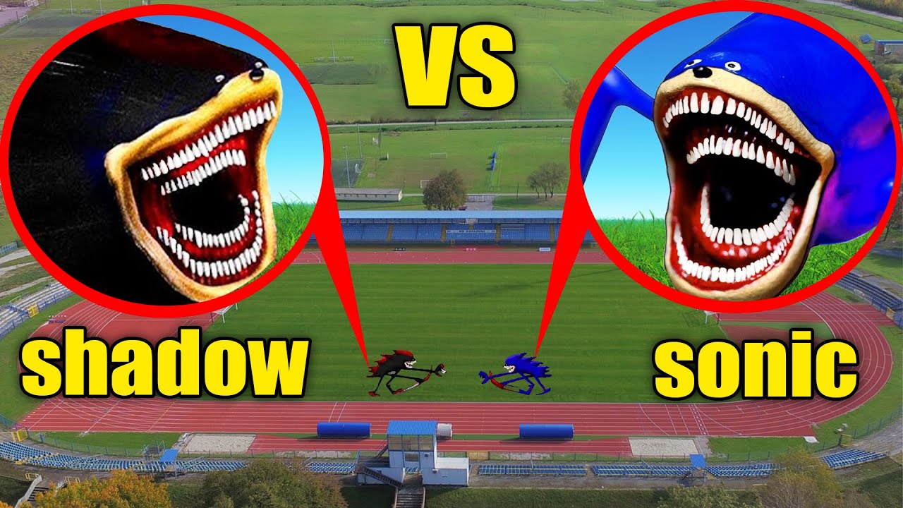 DRONE CATCHES SHIN SONIC TAPES VS SHADOW IN REAL LIFE !! смотреть онлайн