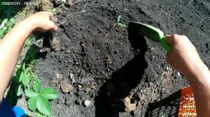 Пока она еще Смугляночка.