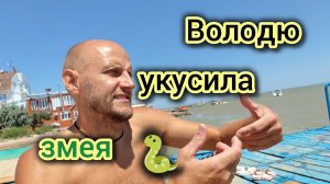 Последние КАДРЫ Володи/Разломанный от РАДОСТИ чемодан/Потерял СОЗНАНИЕ на ВЕНЧАНИИ/Море ГОРЯЧЕЕ