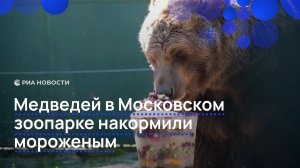 Медведей в Московском зоопарке накормили мороженым