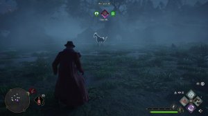PS 5. Hogwarts Legacy. Хогвартс Наследие. 18 серия.