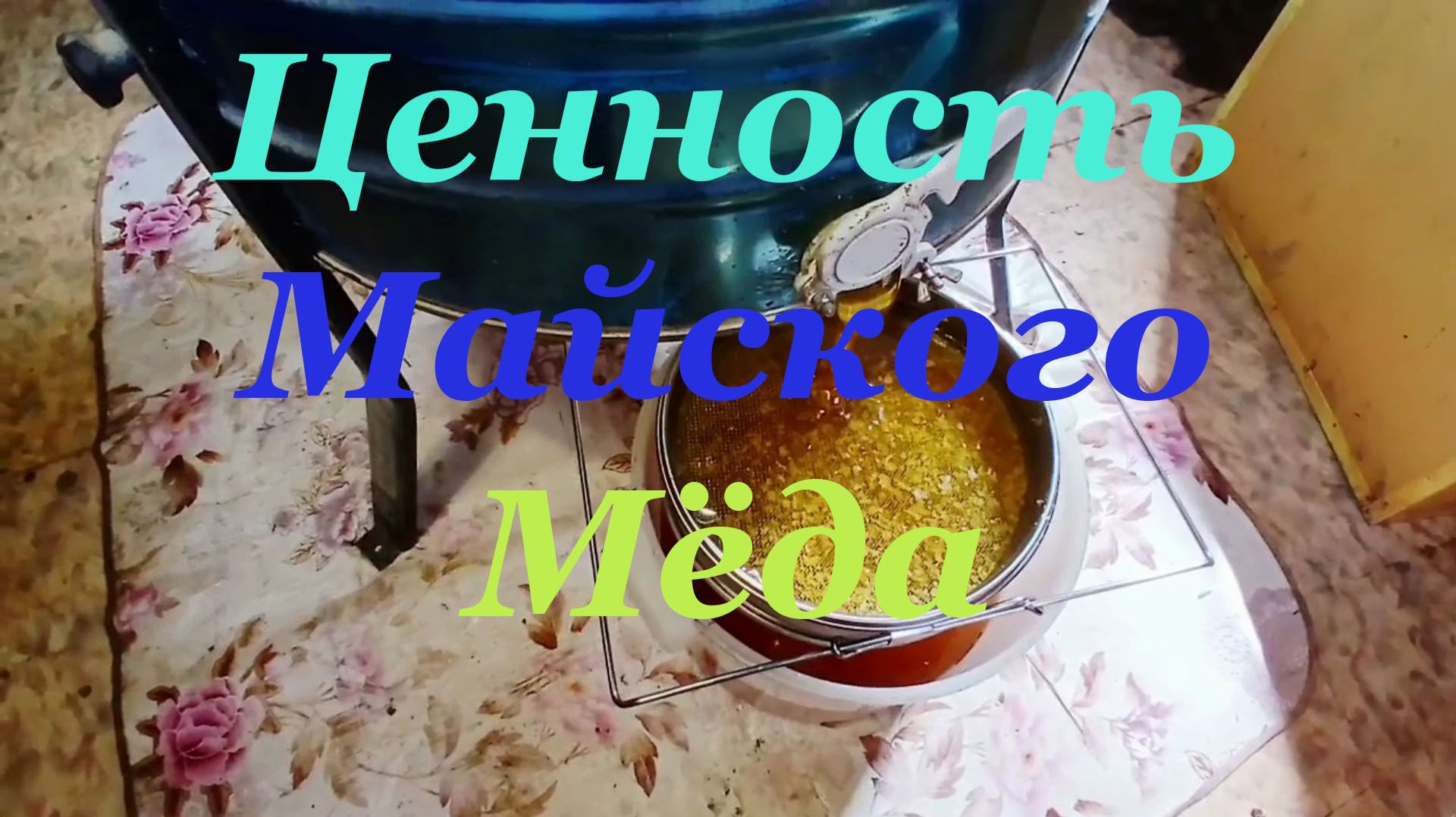 Когда откачивать майский мёд