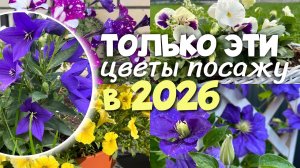 ТОЛЬКО ЭТИ ЦВЕТЫ ПОСАЖУ В 2026 🪴/ ЦВЕТУТ ВСЕ ЛЕТО🌸 / МОЙ СПИСОК ЦВЕТОВ НА 2026