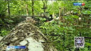 Для расширения Ново-Стригинского кладбища вновь ищут подрядчика