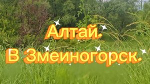 Алтай_Змеиногорск