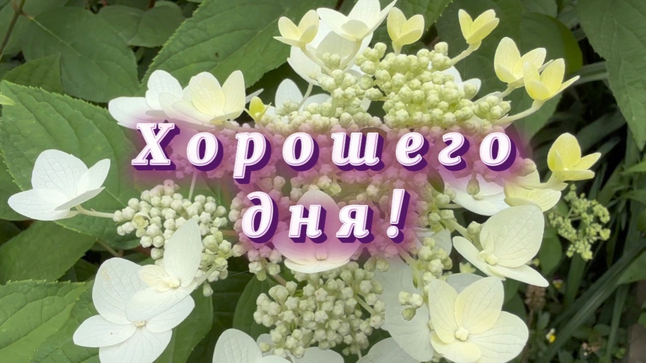 С добрым утром