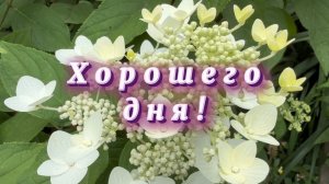 Хорошего Дня! Отличного настроения!