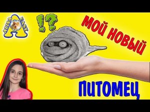 НОВЫЙ ПИТОМЕЦ / ПОХОД В ЗООМАГАЗИН / ПОКУПКА В ЗООМАГАЗИНЕ / Я АЛИСА ИЗИ
