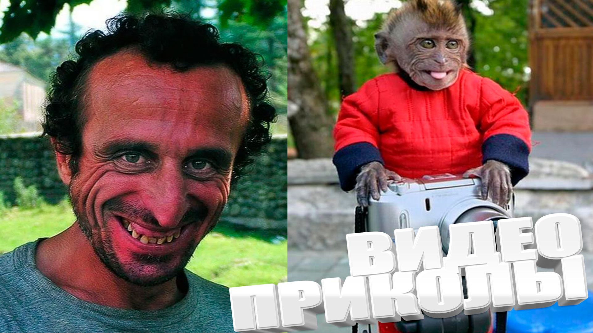 ВИДЕО ПРИКОЛЫ
