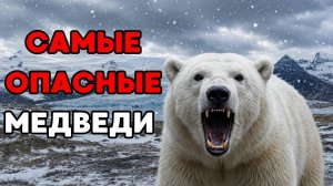 8 самых опасных медведей, которых лучше никогда не встречать!