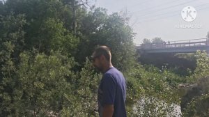 Поехали на дачу